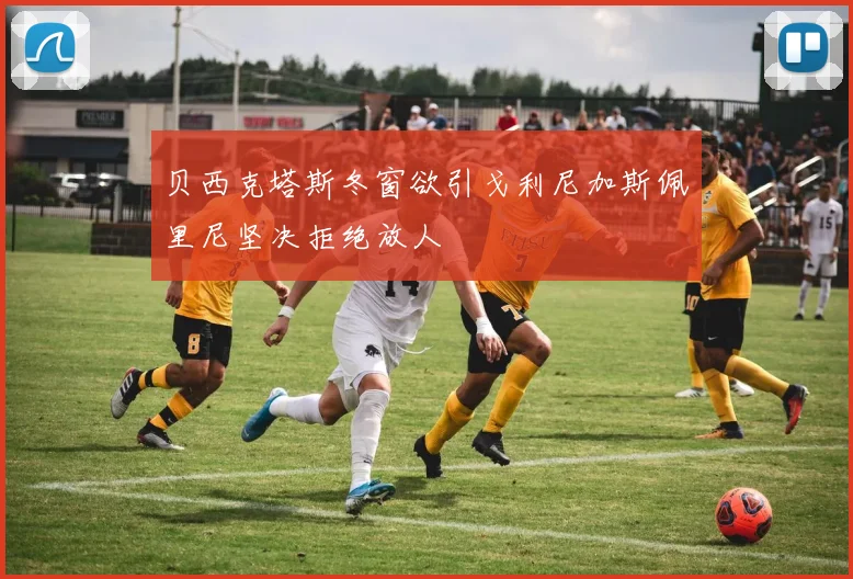 贝西克塔斯冬窗欲引戈利尼加斯佩里尼坚决拒绝放人